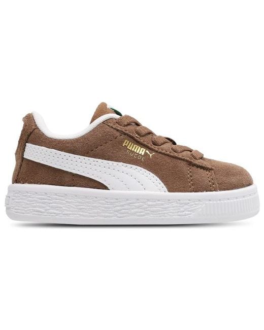 PUMA Gray Suede Baby Shoes
