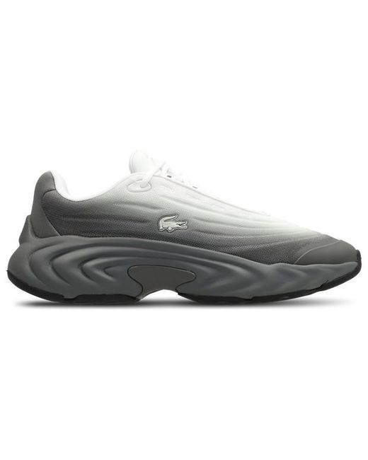 Lacoste Gray Spinor Sneakers for men