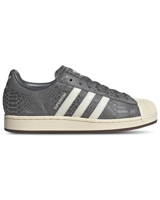 Adidas Gray Superstar Sneakers for men