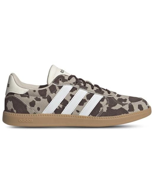 Adidas Brown Breaknet Sleek Sneakers