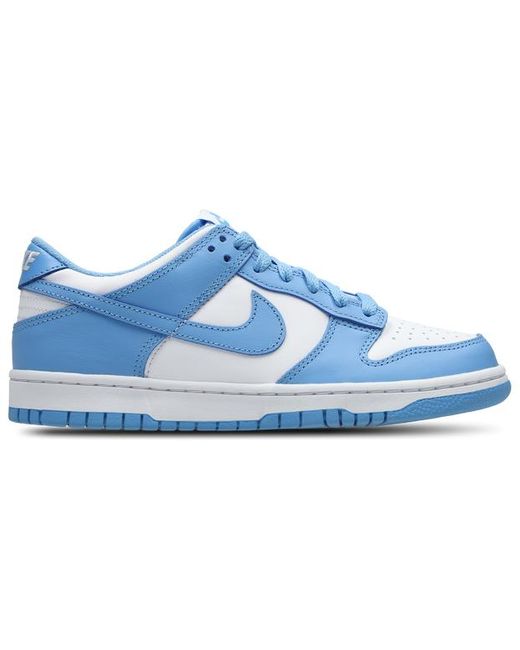 Nike Blue Dunk Shoes