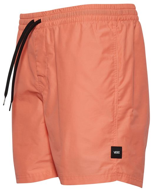 vans nylon shorts