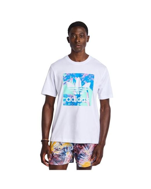 Adidas Graphics Herren T-Shirts in Blue für Herren