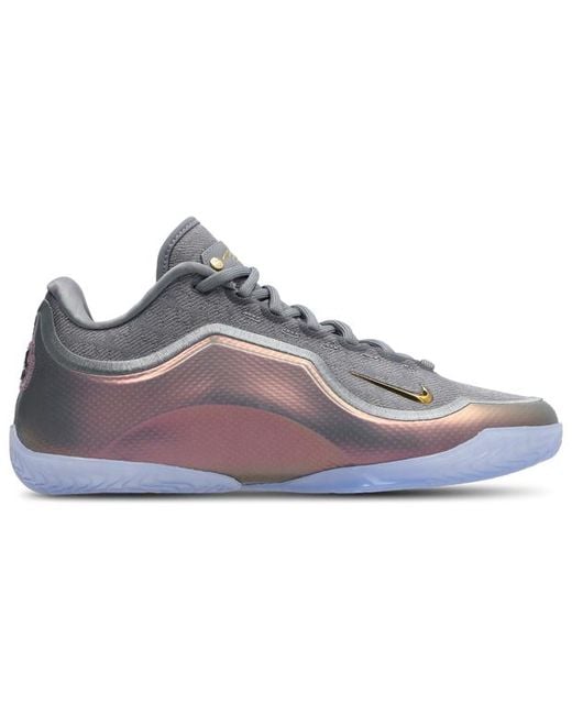 Nike Gray Lebron Sneakers for men
