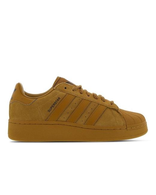 Adidas Brown Superstar Shoes for men