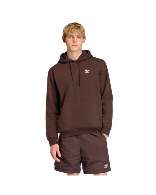 Adidas Brown Trefoil Hoodies for men