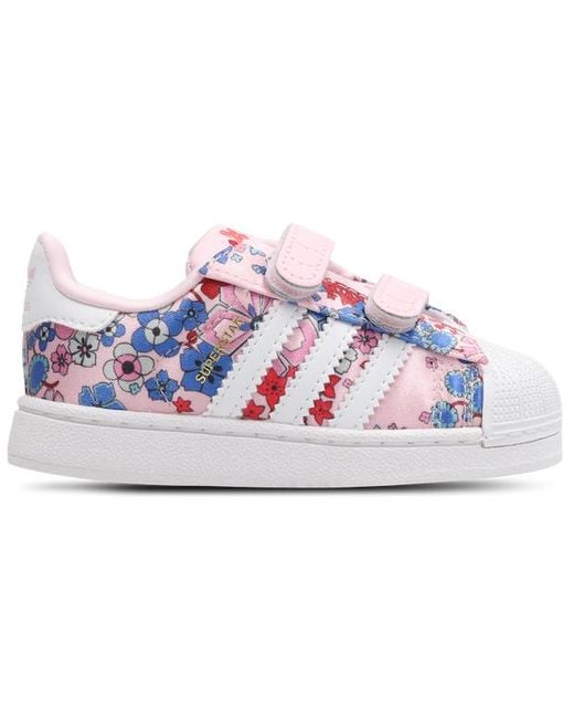 Adidas Blue Superstar Baby Shoes