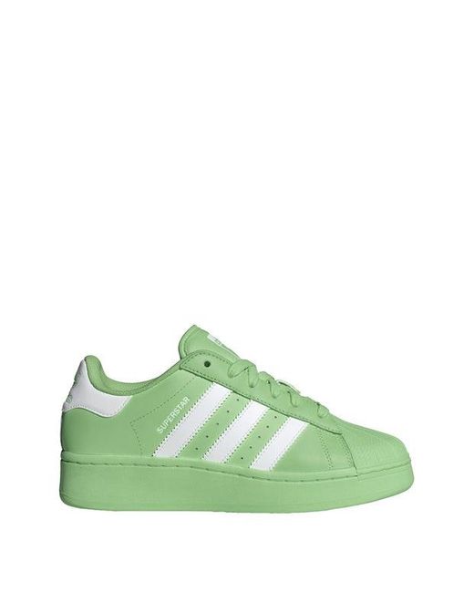 Adidas Superstar Schoenen in het Green