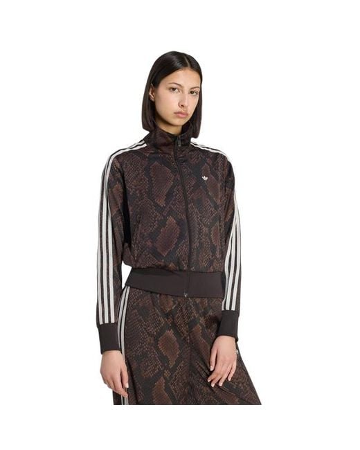 Adidas Brown Firebird Track Tops
