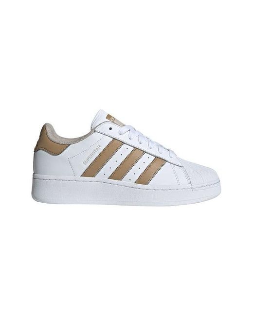 Superstar Xlg di Adidas in White