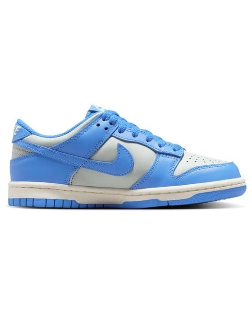 Nike Blue Dunk Shoes