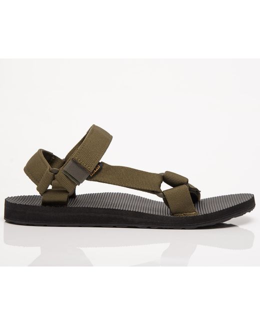 teva colour