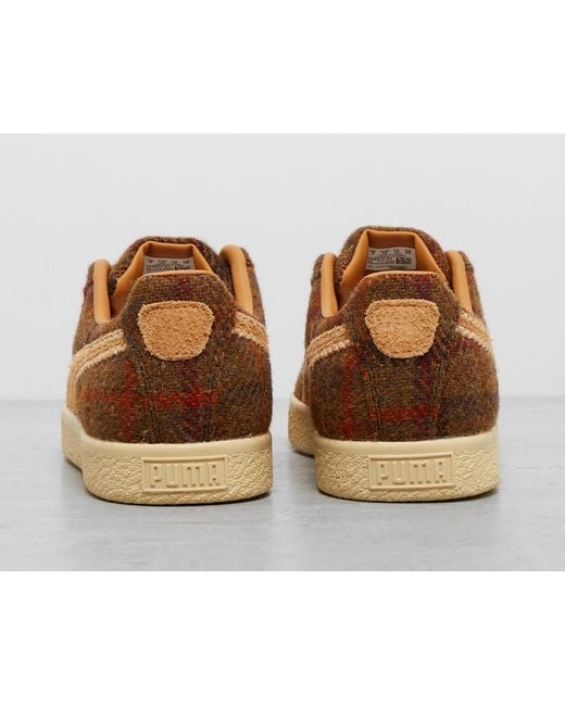 PUMA Brown Clyde Harris Tweed