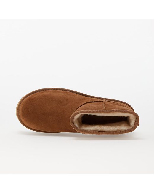 Ugg Brown W classic mini platform chestnut