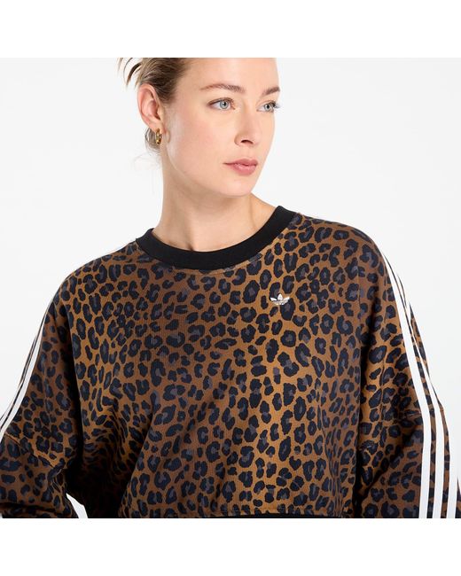 Adidas Originals Sweatshirt Adidas Crew Sweatshirt in het Brown