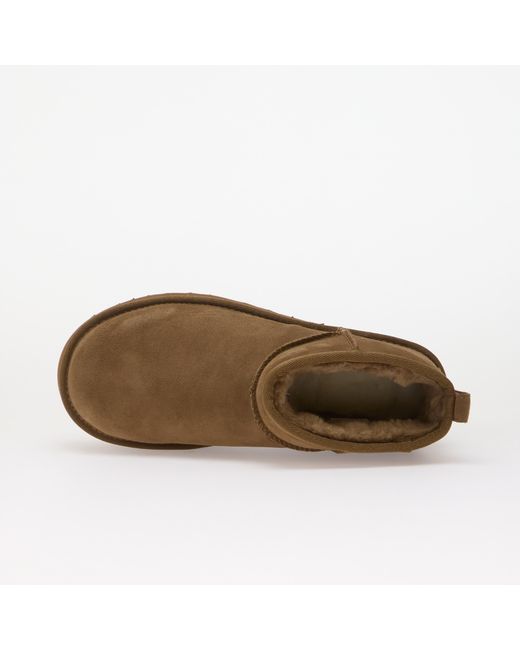 Ugg Brown W Classic Ultra Mini Platform