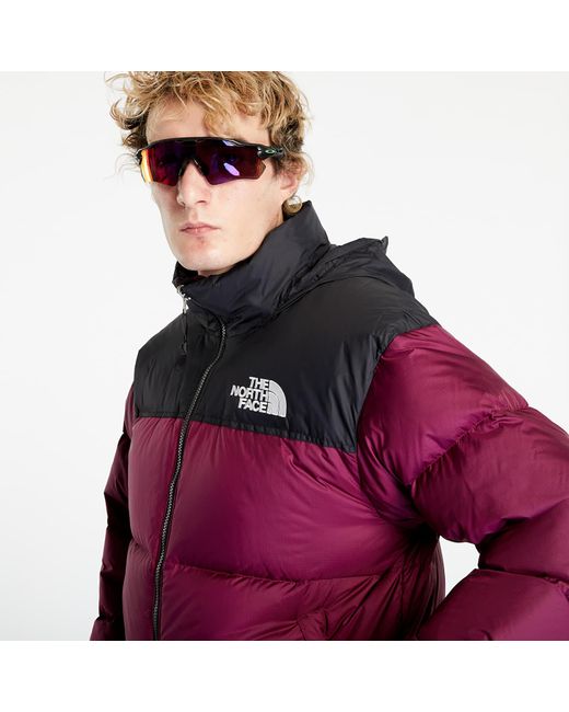 Nuptse purple outlet