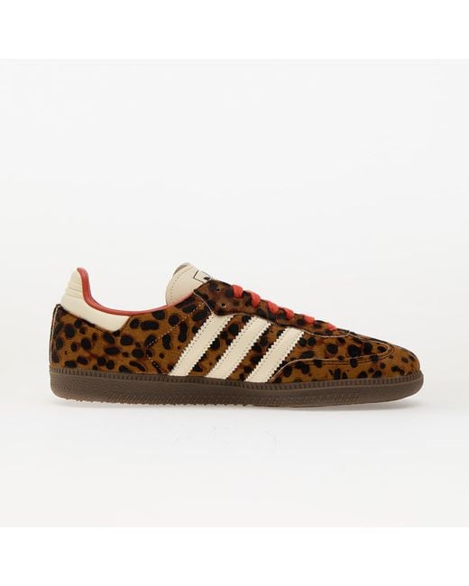 Adidas Originals Brown Sneakers Adidas Samba Og W Core/ Preloved/ Crew Eur