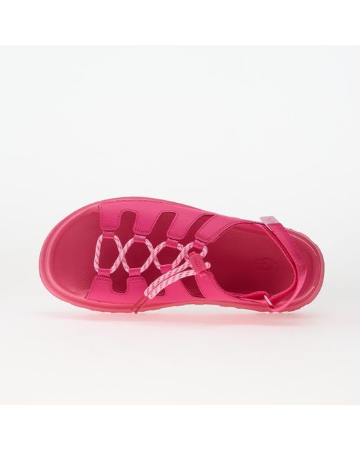 Ugg Pink Sneakers W Goldenglow Toggle