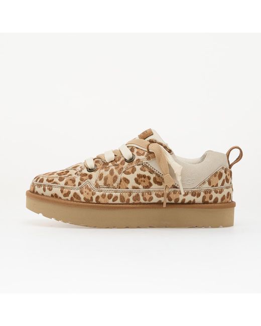Sneakers Ugg en coloris Brown