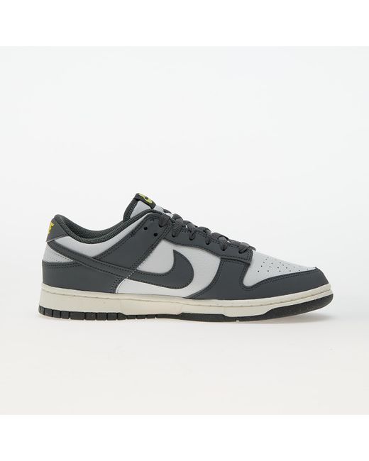 Nike Dunk low next nature iron grey/photon dust-coconut milk in Multicolor für Herren