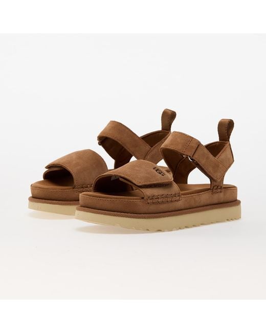 Ugg Brown Sneakers W Goldenstar