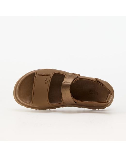 Ugg Brown Sneakers W Goldenglow