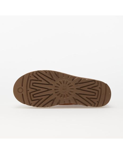 Ugg Brown W classic mini platform chestnut
