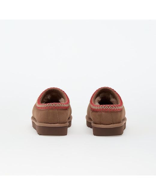 Ugg Brown Sneakers W Tasman Ii