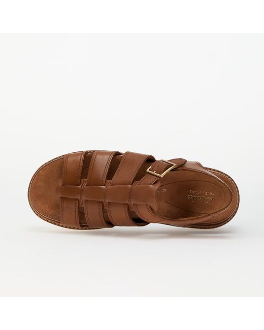 Sneakers Orianna Twist Eur di Clarks in Brown