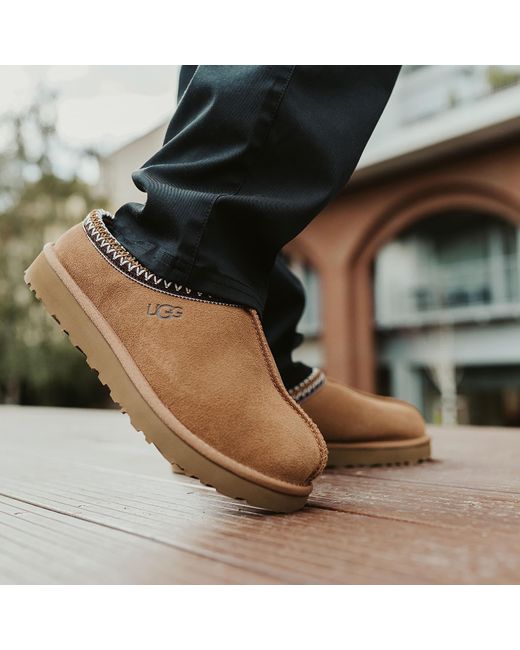 Ugg Sneakers M Tasman Eur in Brown für Herren