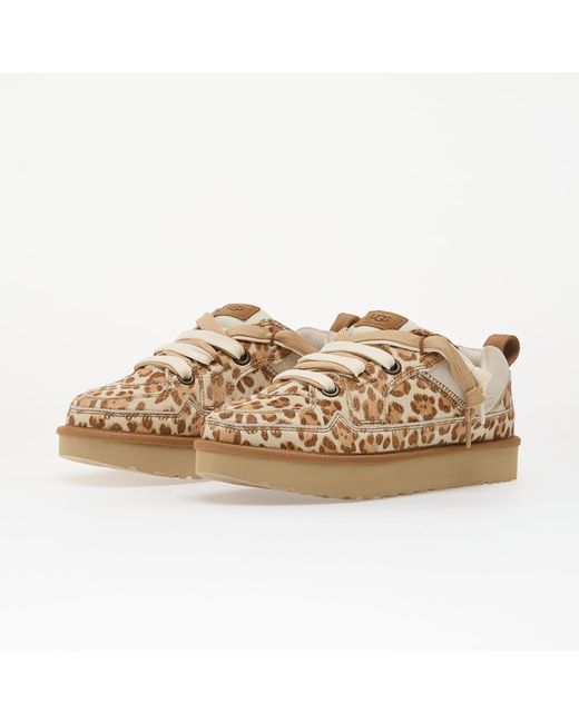 Sneakers Ugg en coloris Brown