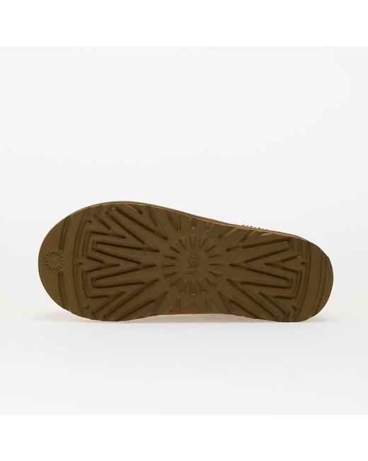 Ugg Brown Sneakers W Tasman Ii Eur