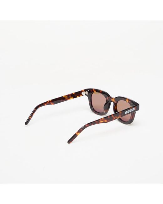 Occhiali Da Sole Apollo Tortoise di AKILA in Multicolor
