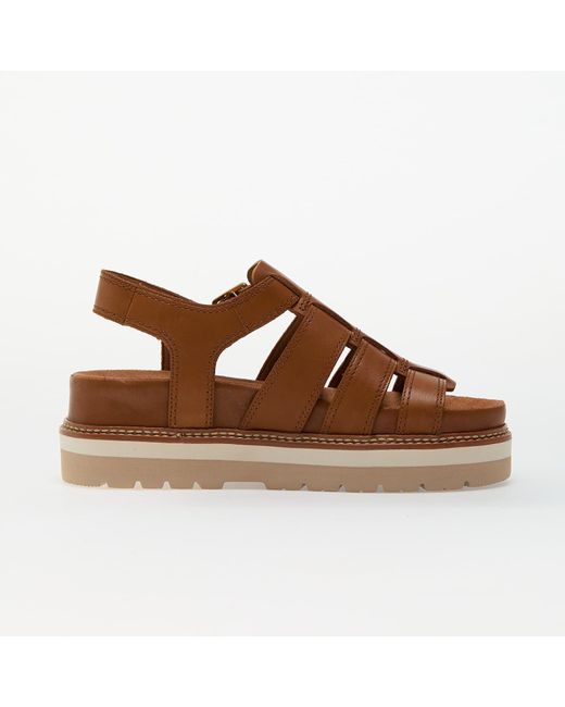 Sneakers Orianna Twist Eur di Clarks in Brown