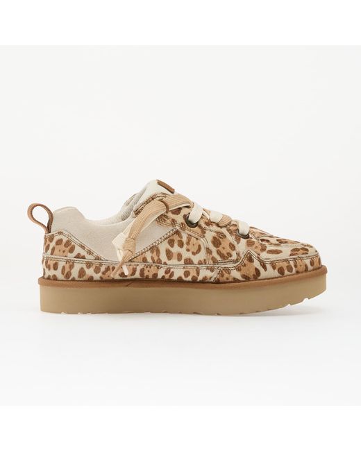 Sneakers Ugg en coloris Brown