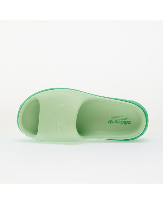 Adidas Originals Green Sneakers Adidas Adifom Stan Slide W Energy/ Segrsp/ Energy