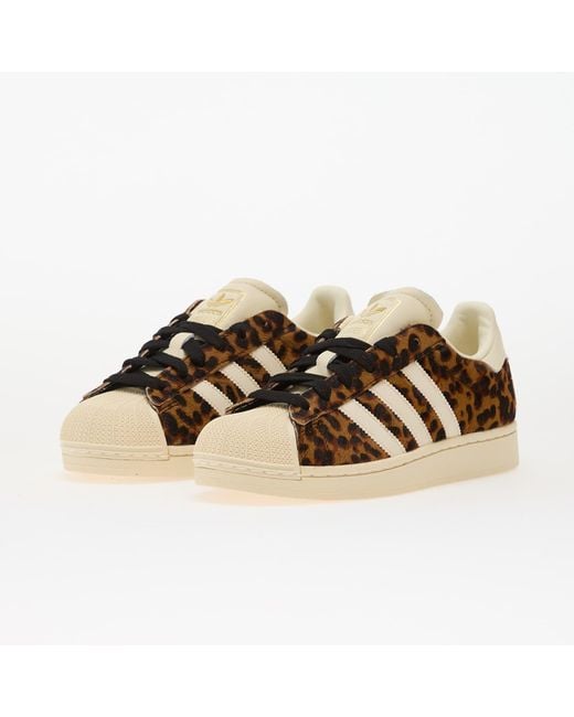 Adidas Originals Brown Sneakers Adidas Superstar Ii W Supplier Colour/ Crew/ Metallic Eur
