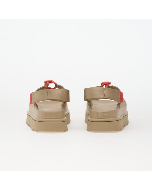 Ugg Brown Sneakers W Goldenglow Toggle