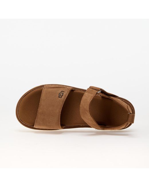 Ugg Brown Sneakers W Goldenstar