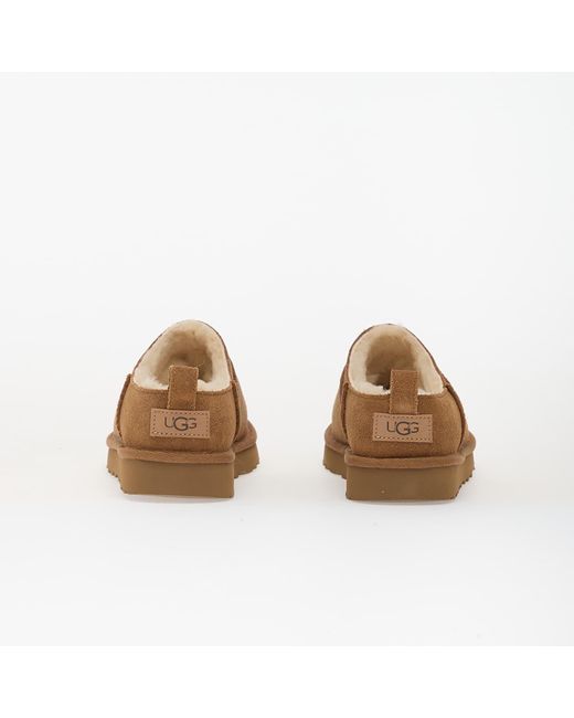 Ugg Brown Sneakers W Classic Micro Eur