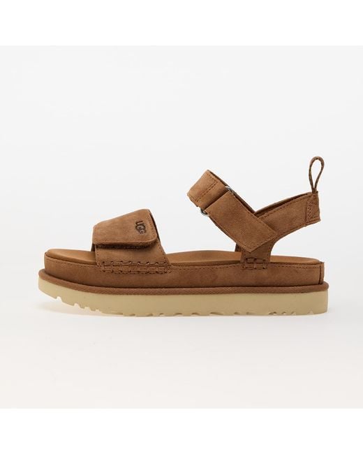 Ugg Brown Sneakers W Goldenstar