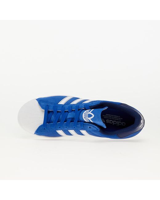 Adidas Originals Blue Adidas Superstar Royal / Ftw White/ Dark for men