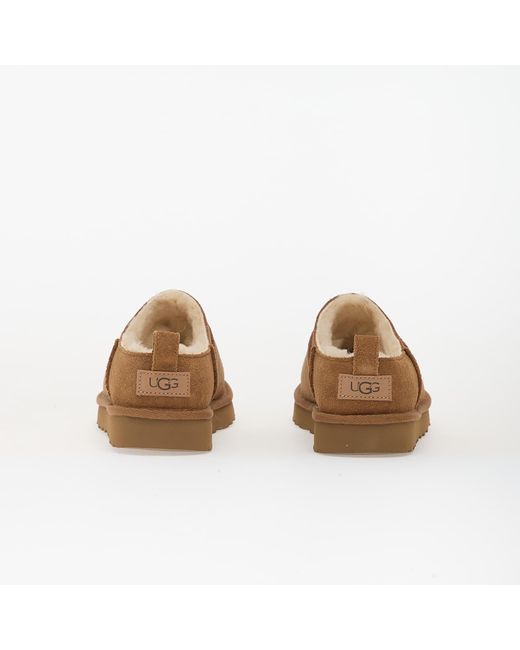Ugg Brown Sneakers W Classic Micro