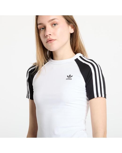 adidas Originals T-Shirt Adidas Adicolor 3 Stripe Raglan