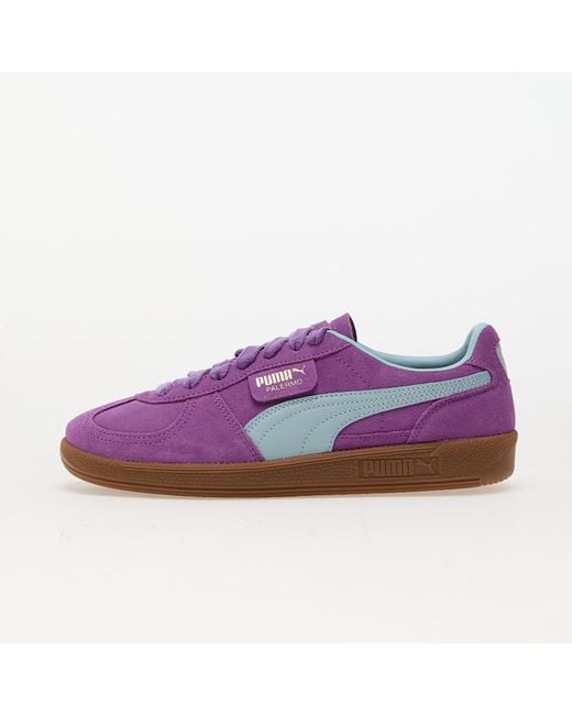 Purple puma shoes us best sale