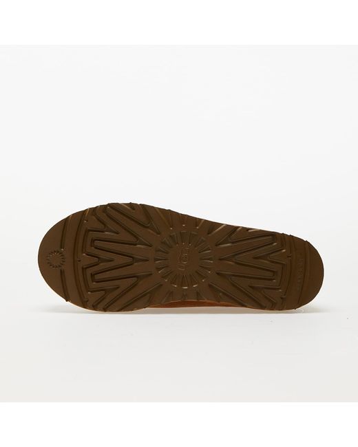 Ugg Sneakers M Tasman Eur in Brown für Herren