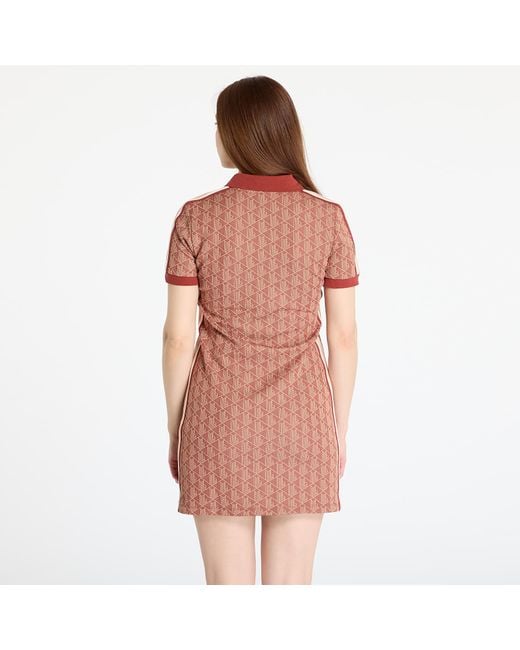 Lacoste Brown Jacquard Dress Iberis/ Latte