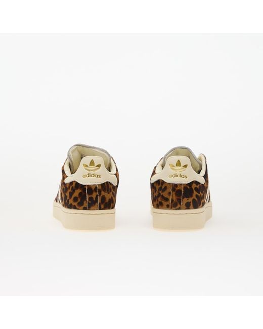 Adidas Originals Brown Sneakers Adidas Superstar Ii W Supplier Colour/ Crew/ Metallic Eur