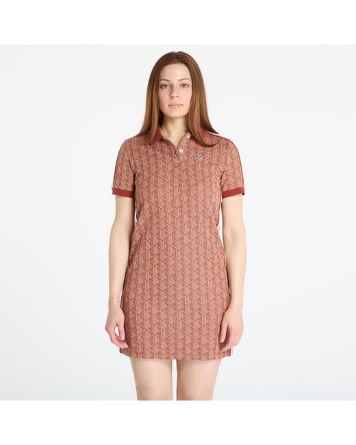 Lacoste Brown Jacquard Dress Iberis/ Latte